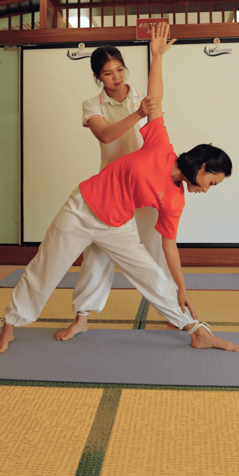 Chương trình đào tạo GV – HLV Yoga trị liệu 300H