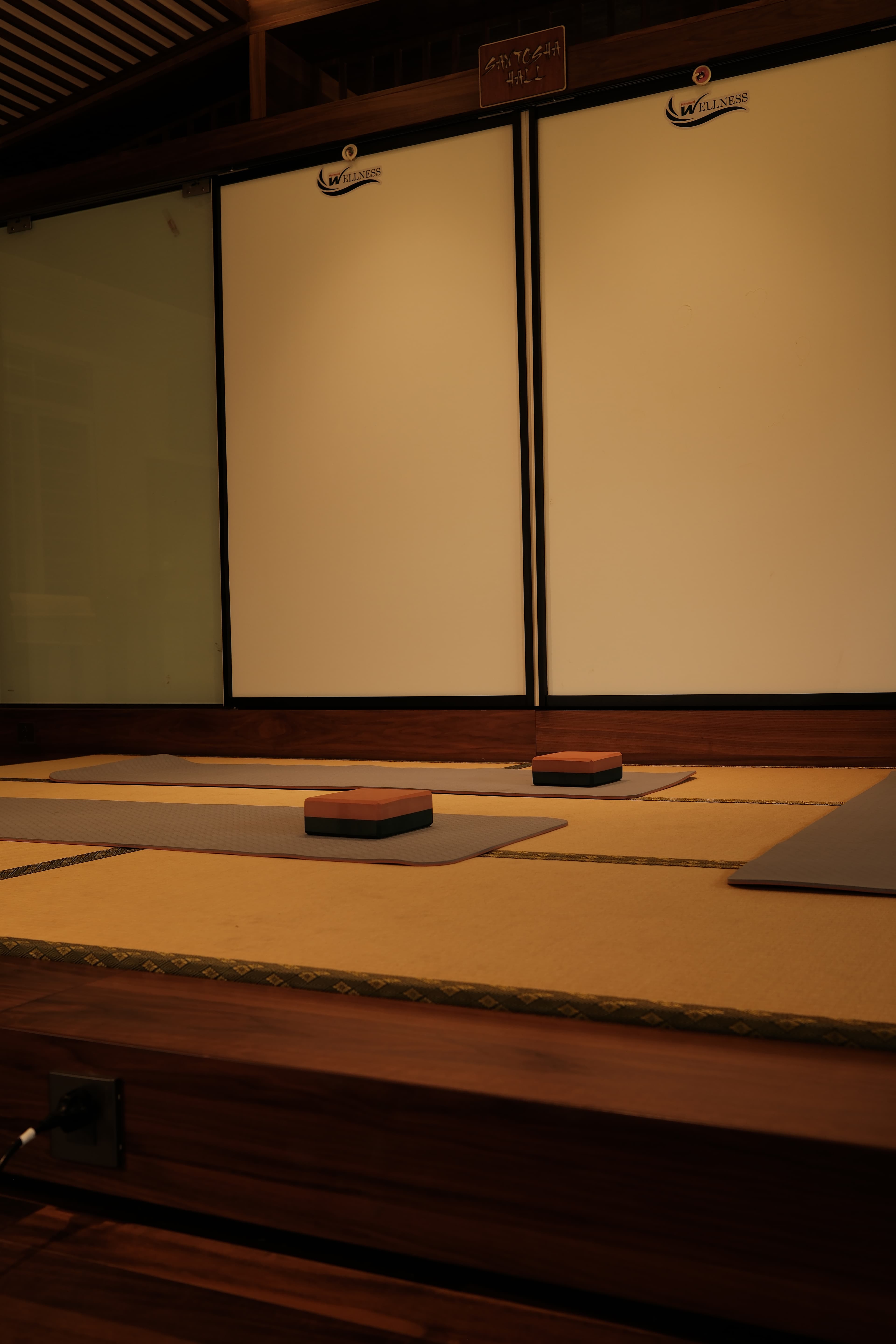 Gạch Yoga 2