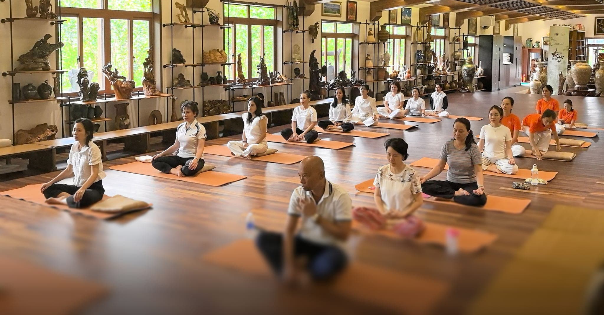 Chương trình đào tạo GV – HLV Yoga trị liệu 300H