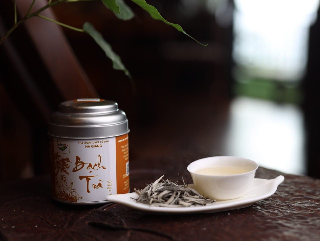 Bạch trà Shan Tuyết — hộp thiếc và trà cụ