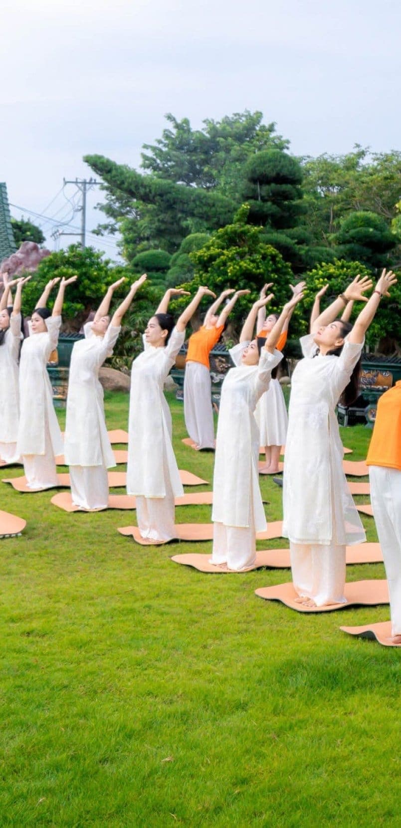 Nhóm người tập yoga trên bãi cỏ vườn, mặc áo dài trắng